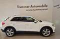 Audi Q3 35 TDI intense Weiß - thumbnail 6