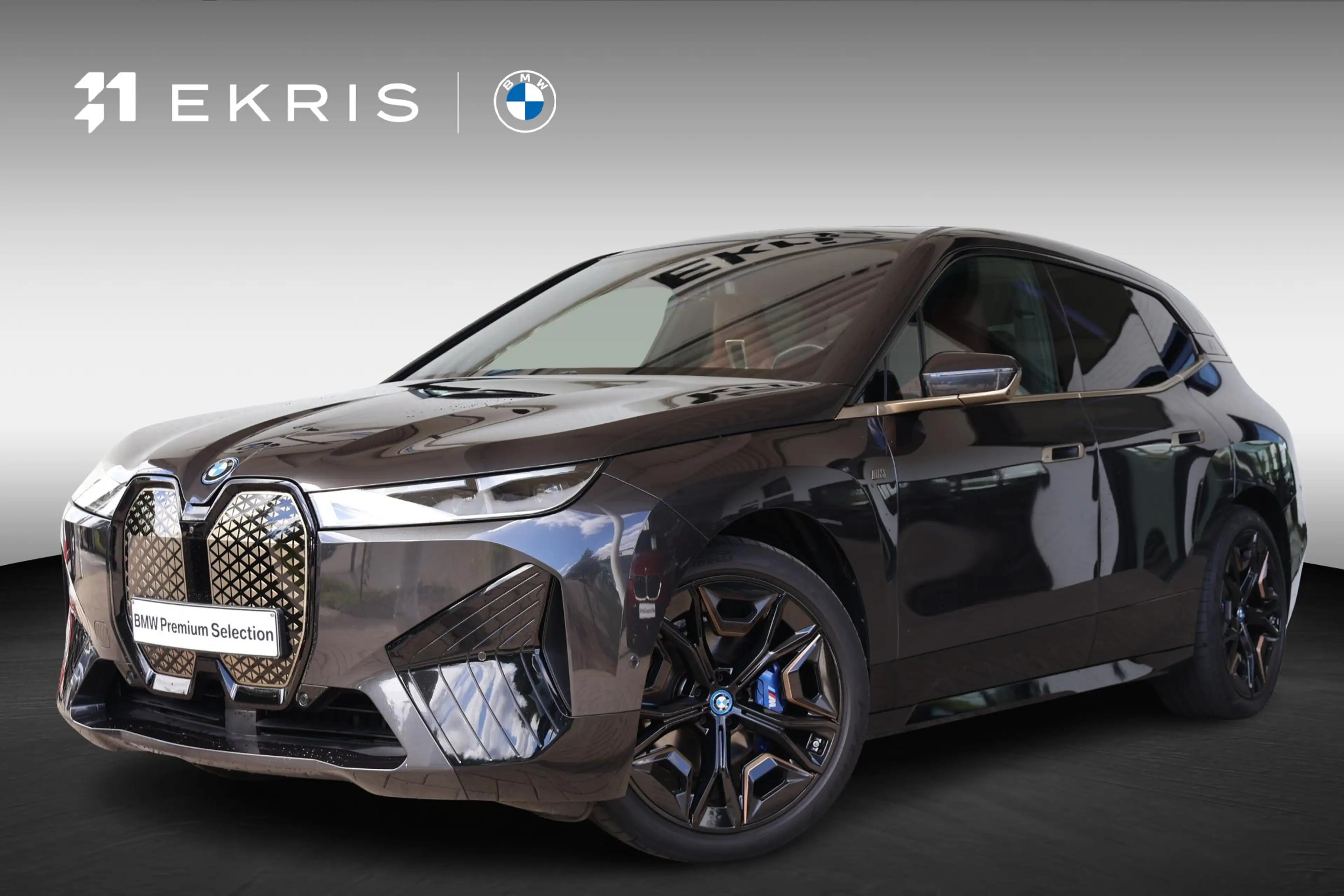 BMW iX M60 High Executive 112 kWh panoramadak