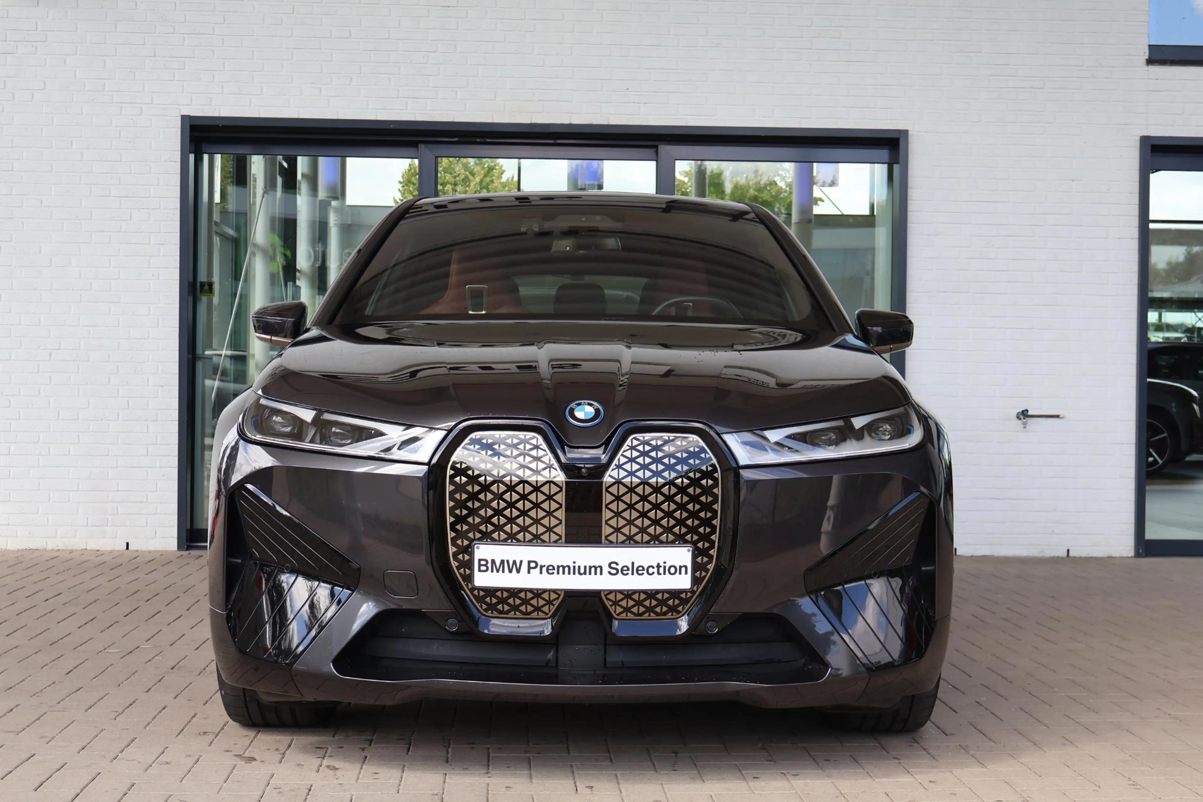 BMW iX M60 High Executive 112 kWh panoramadak — photo 3