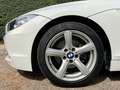 BMW Z4 sDrive23i bijela - thumbnail 12