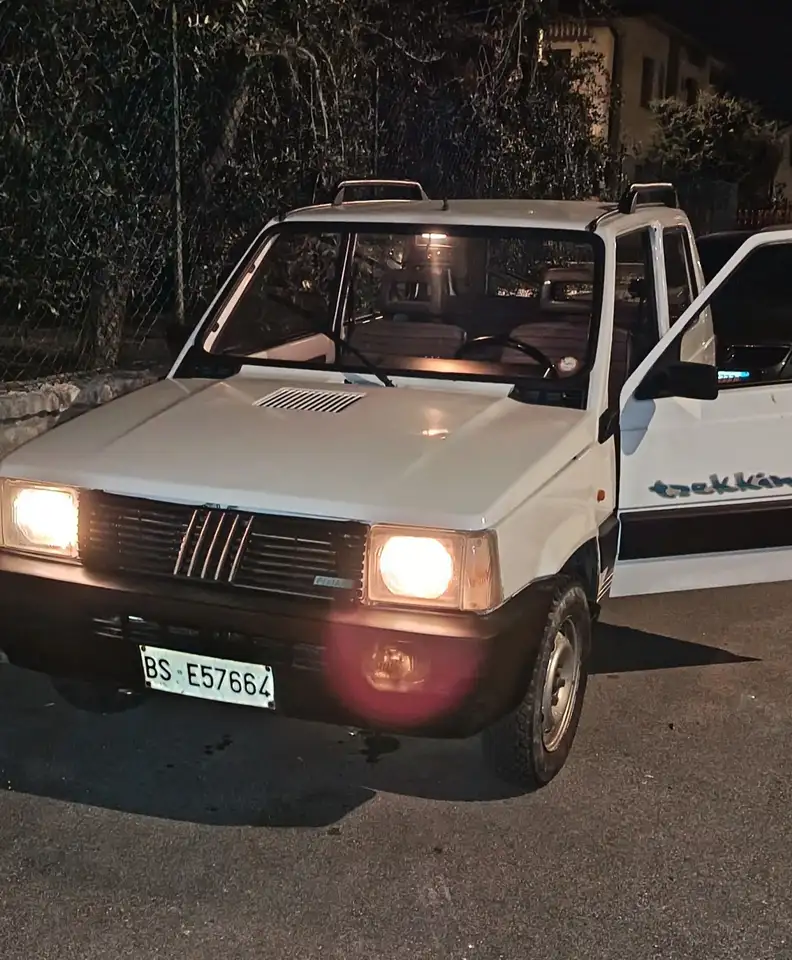 Fiat Panda 1.0 Trekking 4x4, foto 1