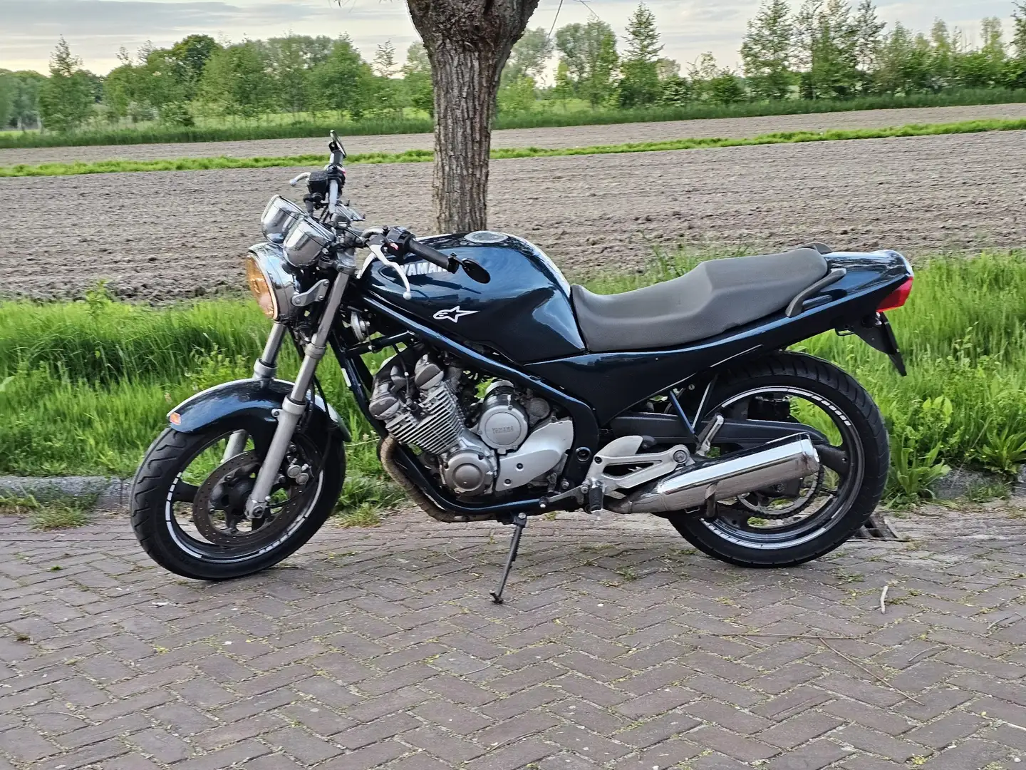 Yamaha XJ 600 Naked (Yamaha XJ 600N) Зелений - 2