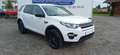 Land Rover Discovery Sport S AWD Weiß - thumbnail 3