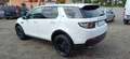 Land Rover Discovery Sport S AWD Weiß - thumbnail 7