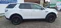Land Rover Discovery Sport S AWD Weiß - thumbnail 4