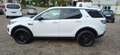 Land Rover Discovery Sport S AWD Weiß - thumbnail 8