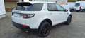 Land Rover Discovery Sport S AWD Weiß - thumbnail 5
