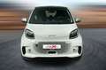 smart forTwo Passion EQ Elektro SHZ PANO PDC *SOFORT* - thumbnail 3