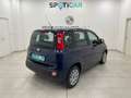 Fiat Panda III 2016 -  1.2 Lounge s&s 69cv my19 Blu/Azzurro - thumbnail 4