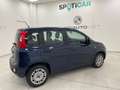 Fiat Panda III 2016 -  1.2 Lounge s&s 69cv my19 Blu/Azzurro - thumbnail 5