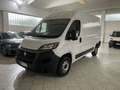 Fiat Ducato 30 MH2 2.3 MULTIJET 120CV E6D-TEMP Bianco - thumbnail 1