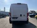Fiat Ducato MAXI Kastenwagen L4H2 140 Weiß - thumbnail 5