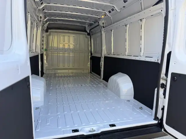 Fiat Ducato view 8