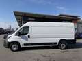 Fiat Ducato MAXI Kastenwagen L4H2 140 Weiß - thumbnail 3