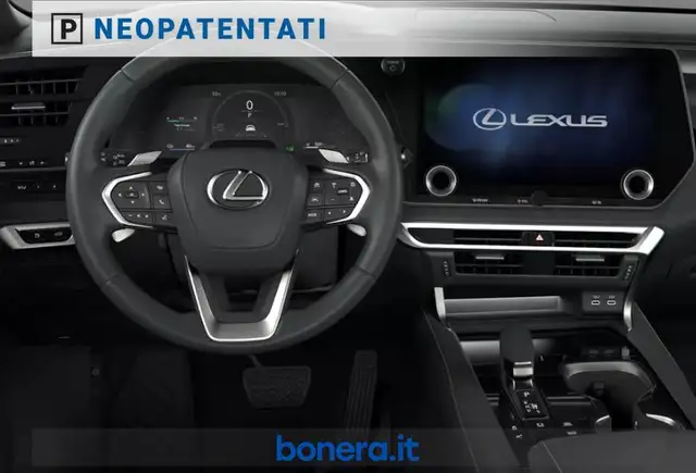 Lexus RX view 5