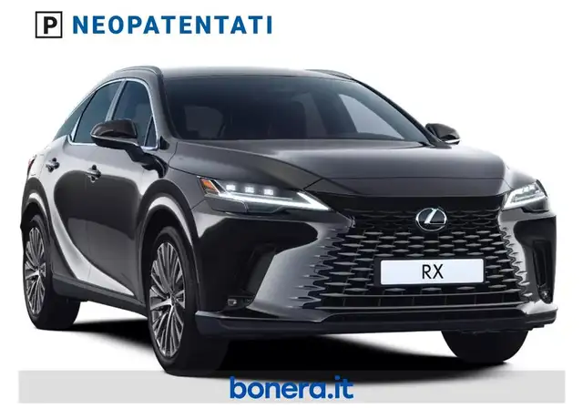 Lexus RX view 2