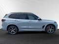 BMW X5 xDrive30d M Sport Pro|AHK|Harman/Kardon|21"LM Gris - thumbnail 2