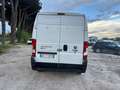 Fiat Ducato 33 2.3 MJT 140CV PLM-TM Furgone L3H2 Bianco - thumbnail 5