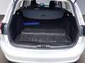 Ford Focus SW ecoblue Business Gris - thumbnail 14