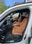 BMW X5 M M50 d Weiß - thumbnail 4