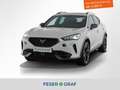 CUPRA Formentor VZ 1.4 TSI eHybrid DSG Kamera Panorama Weiß - thumbnail 1