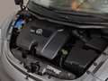 Volkswagen New Beetle 1.6 Benzina 102cv + Pelle Rossa Grigio - thumbnail 21