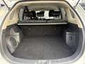 Mitsubishi Outlander 2.0 PHEV Executive Edition -AUTOMAAT-KEYLESS-CAMER Weiß - thumbnail 13