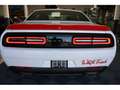 Dodge Challenger R/T 5,7l V8 20 Zoll Weiß - thumbnail 6