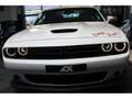 Dodge Challenger R/T 5,7l V8 20 Zoll Weiß - thumbnail 2