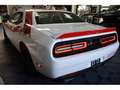 Dodge Challenger R/T 5,7l V8 20 Zoll Weiß - thumbnail 5