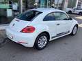 Volkswagen Beetle 1.2 TSI /ALU/GRA/Bluetooth/PDC v+h/SHZ Weiß - thumbnail 17