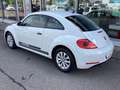 Volkswagen Beetle 1.2 TSI /ALU/GRA/Bluetooth/PDC v+h/SHZ Biały - thumbnail 3