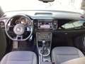 Volkswagen Beetle 1.2 TSI /ALU/GRA/Bluetooth/PDC v+h/SHZ Weiß - thumbnail 7