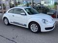 Volkswagen Beetle 1.2 TSI /ALU/GRA/Bluetooth/PDC v+h/SHZ Weiß - thumbnail 16