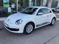 Volkswagen Beetle 1.2 TSI /ALU/GRA/Bluetooth/PDC v+h/SHZ Weiß - thumbnail 1