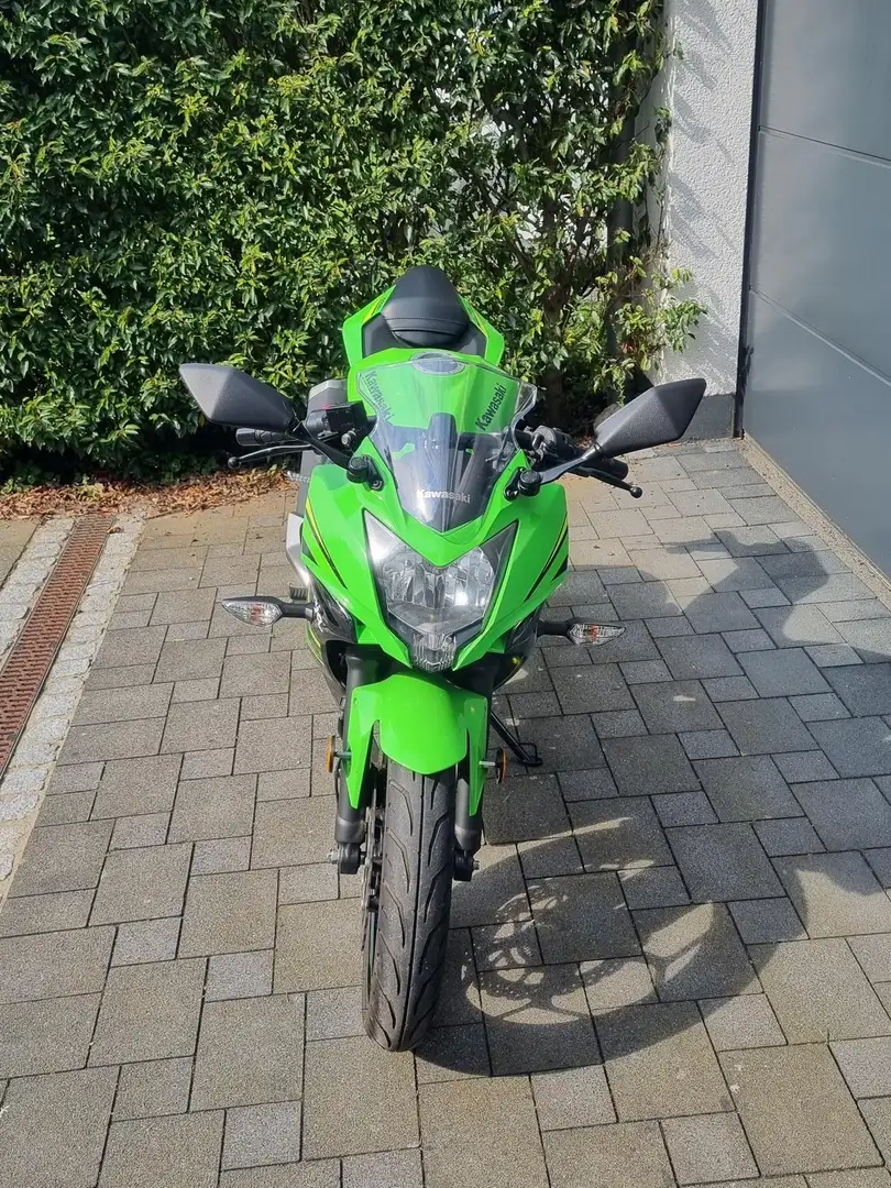 Kawasaki Ninja 125 Zöld - 2
