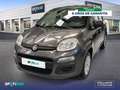 Fiat Panda 1.2 Easy Gris - thumbnail 1