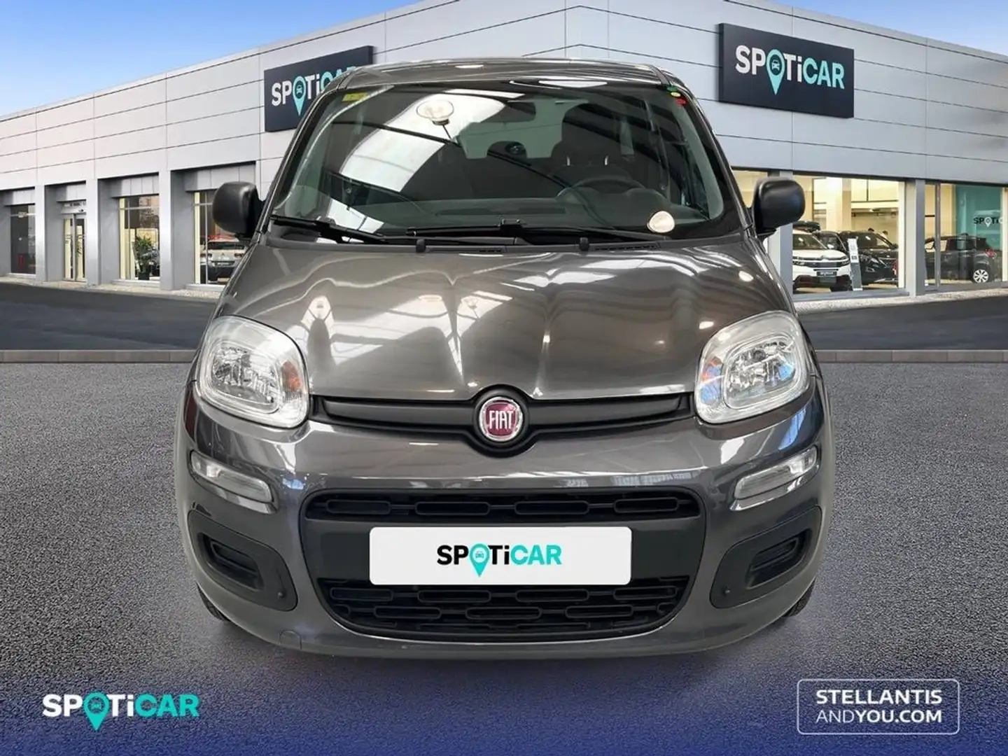 Fiat Panda 1.2 Easy Gris - 2