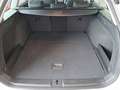 Volkswagen Passat Variant Business TDI DSG Weiß - thumbnail 16