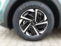 Kia Sportage 1.6T DCT7 AWD Vision Komf. Paket Grün - thumbnail 6