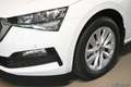 Skoda Scala 1.0 TSI 6GSG Ambition AHK Vorber. / Business - ... Blanc - thumbnail 3
