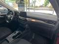 Ford Kuga 2.5 Duratec Titanium AHK+Winter Paket+uvm. Rot - thumbnail 15