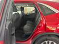 Ford Kuga 2.5 Duratec Titanium AHK+Winter Paket+uvm. Rot - thumbnail 19