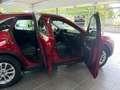 Ford Kuga 2.5 Duratec Titanium AHK+Winter Paket+uvm. Rot - thumbnail 14