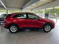 Ford Kuga 2.5 Duratec Titanium AHK+Winter Paket+uvm. Rot - thumbnail 13