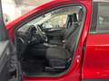 Ford Kuga 2.5 Duratec Titanium AHK+Winter Paket+uvm. Rot - thumbnail 20
