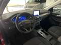 Ford Kuga 2.5 Duratec Titanium AHK+Winter Paket+uvm. Rot - thumbnail 21