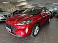 Ford Kuga 2.5 Duratec Titanium AHK+Winter Paket+uvm. Rot - thumbnail 5