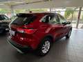 Ford Kuga 2.5 Duratec Titanium AHK+Winter Paket+uvm. Rot - thumbnail 12