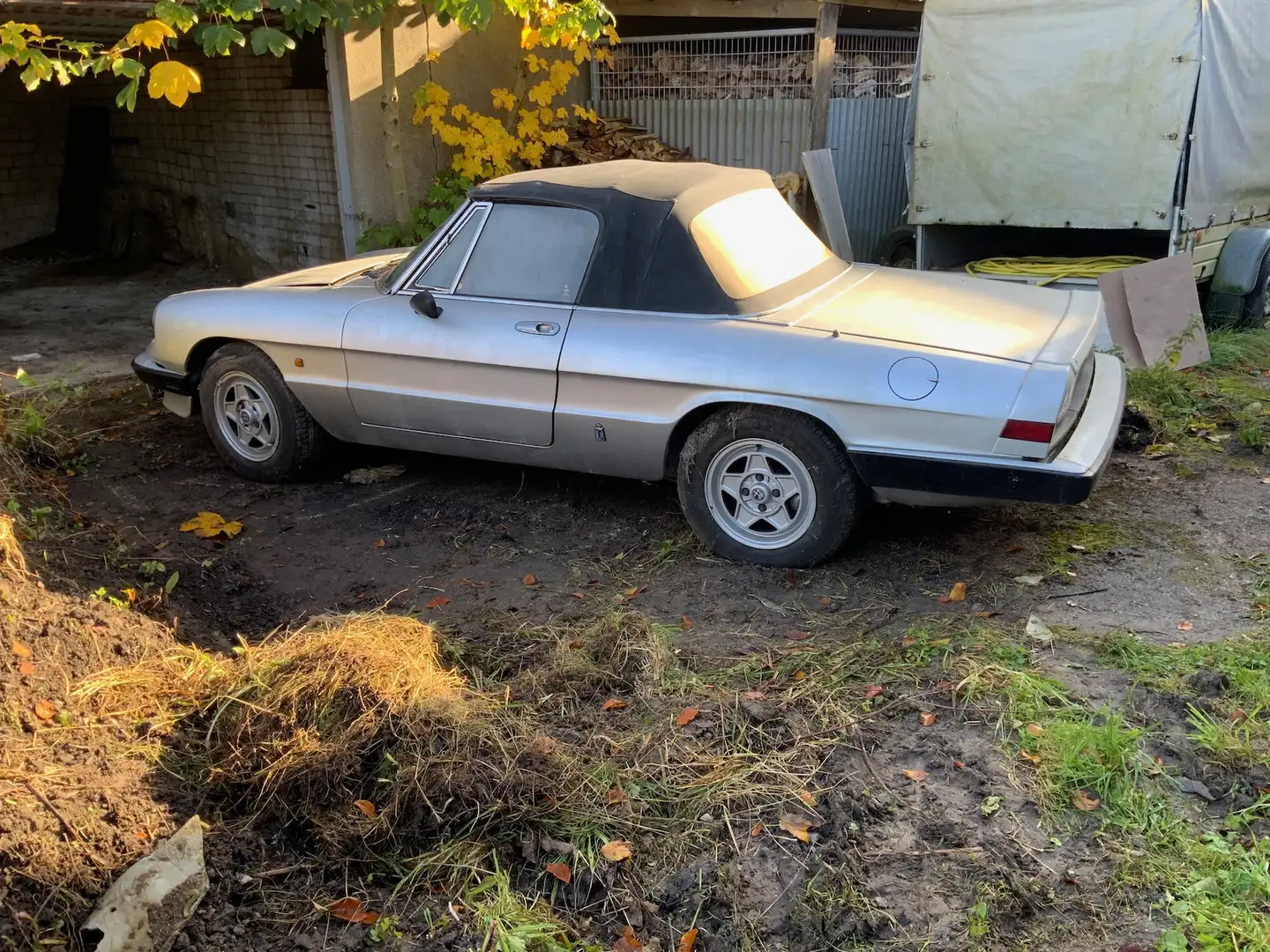 Alfa Romeo Spider *Scheunenfund* Silber - 1